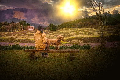 �X���C���[�W